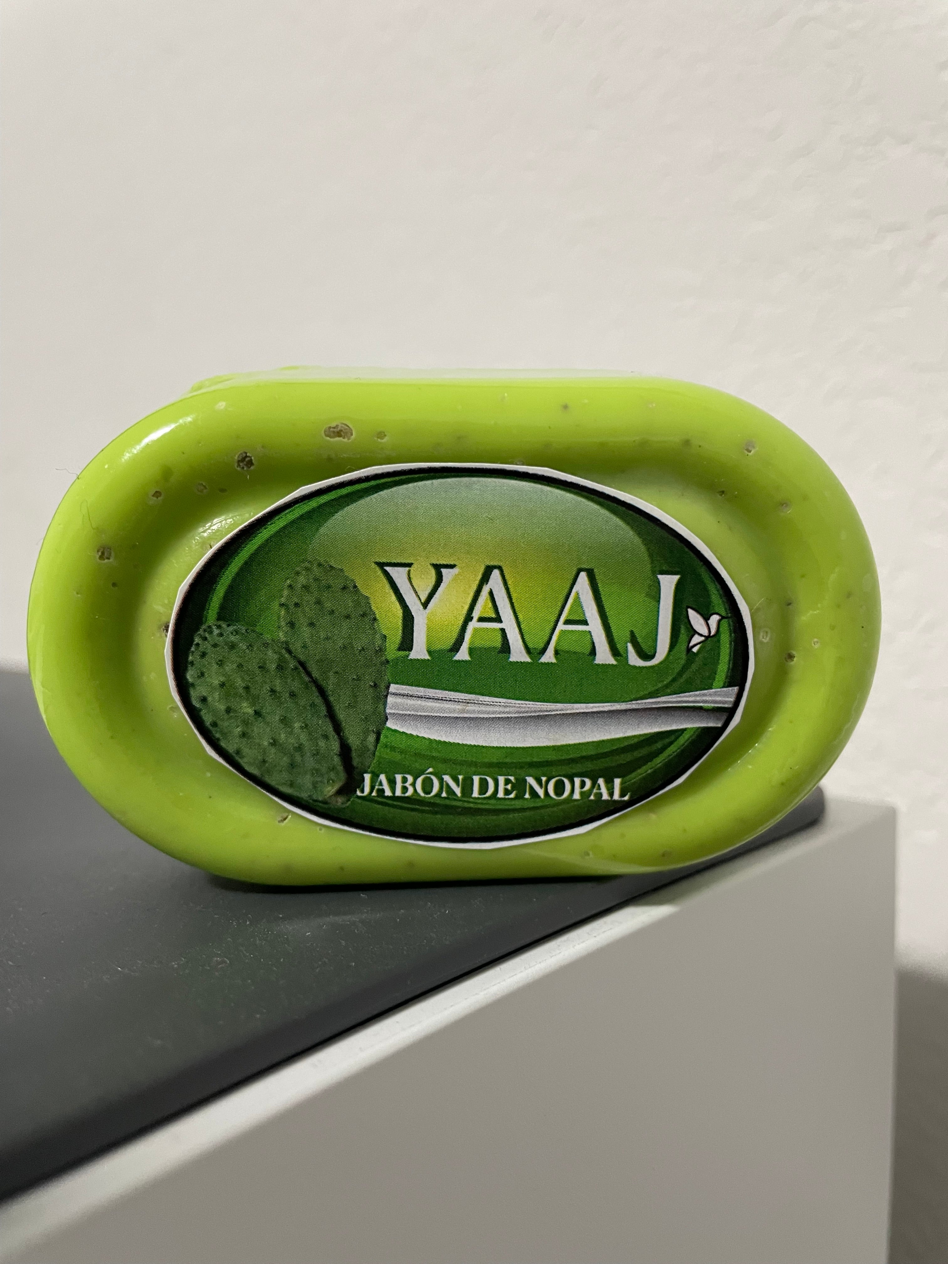 (2 Pack)YAAJ Prickly Pear Cactus Artisan Soap Bar 4oz